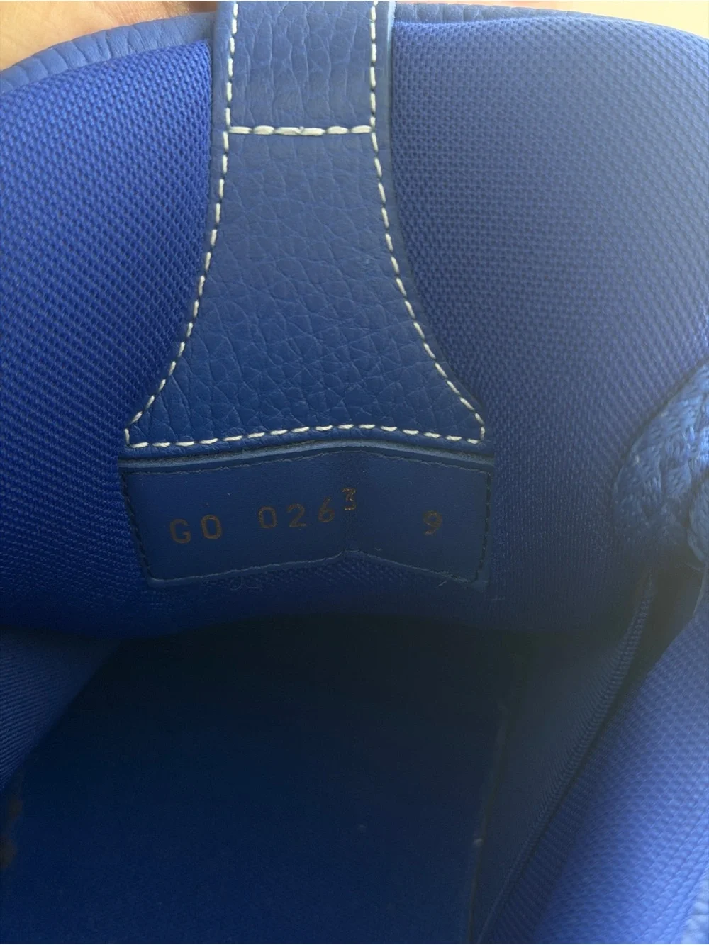 Louis Vuitton Men’s Blue Skate Sneakers